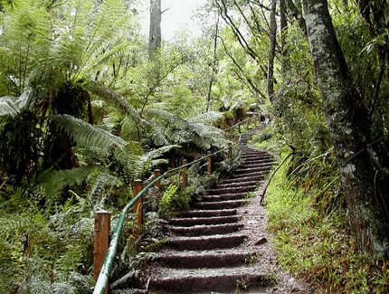 Tourist spots of Ferntree Gully